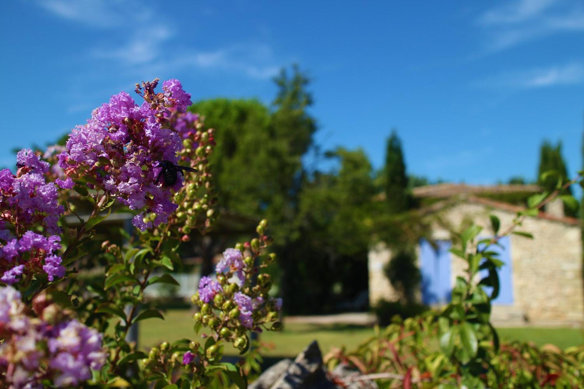 Mas Orea Gordes Ngoại thất bức ảnh